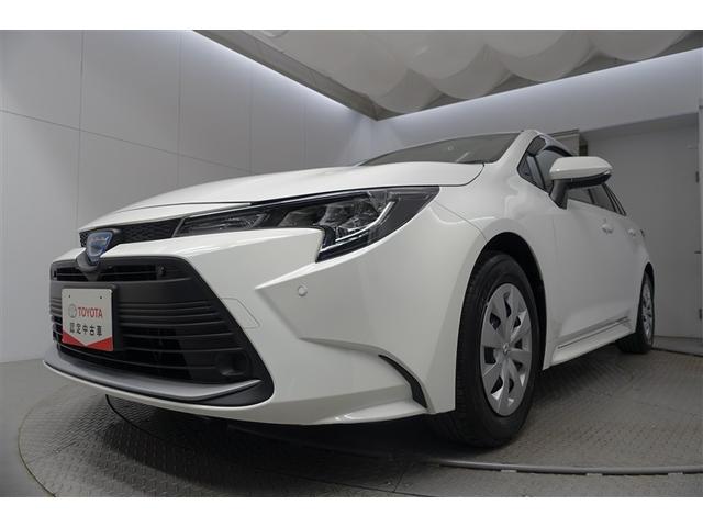 �t-�b�����͂��ׂē������̂�������_���ƂȂ��Ă��܂��B���̂��ߋC�ɂȂ邨�N���}������܂����炨���߂ɂ��A������������