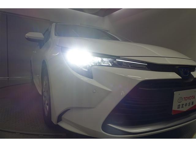 �b��̂k�d�c�w�b�h�����v���̗p����Ă���܂��I�@�ȓd�͂Œ������A�������ƂĂ����邭�M���Ȃ�ɂ������������������C�g�ɂȂ�܂��B��������Ă��ɂ��������������Ă���܂��B