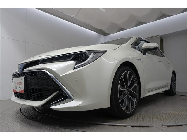 �t�|�b�����͂��ׂē������̂�������_���ƂȂ��Ă��܂��B���̂��ߋC�ɂȂ邨�N���}������܂����炨���߂ɂ��A������������