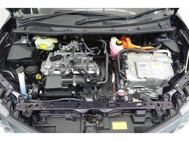 ���G���W�����[�����N��-�j���O�ς݁I�z�R����D�A�I�C������𗎂Ƃ��Ă��璚�J�ɐ�򂵂܂����I�����̂Ƃ���s�J�s�J�ł��I