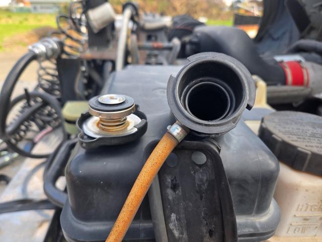 クオン （37枚目）