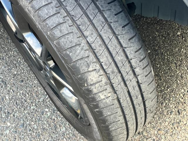 �^�]���N���N�̑����B�^�C���̍a���A�܂��܂��I���킵���̓X�^�b�t�ցB