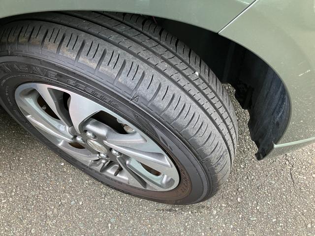 �^�]���N���N�̑����B�^�C���̍a���A�܂��܂��I���킵���̓X�^�b�t�ցB