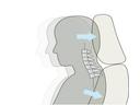 後方から低速で追突された際に、シートバックとヘッドレストが体全体を包み込むように受け止め、頚部への衝撃を緩和します。