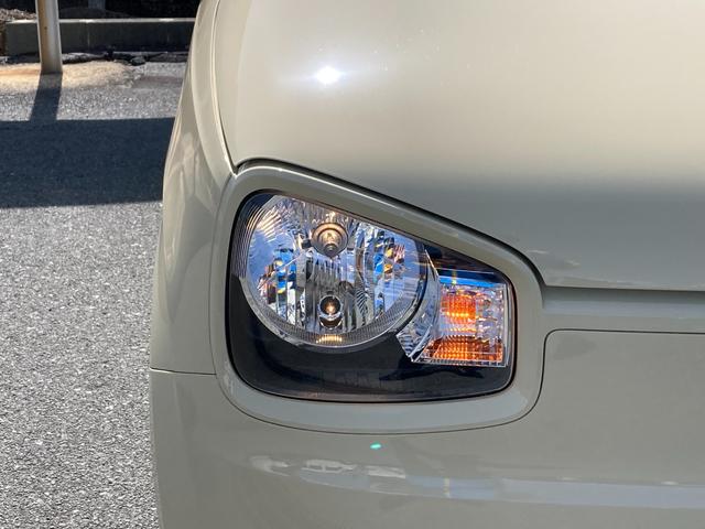 �w�b�h���C�g�̓n���Q���d�l�ł���