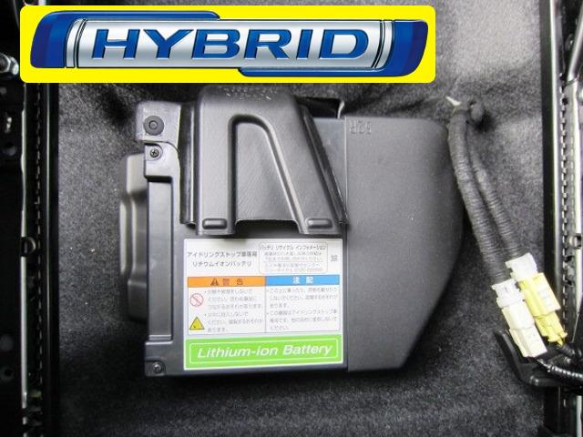 HYBRID MX(12枚目)