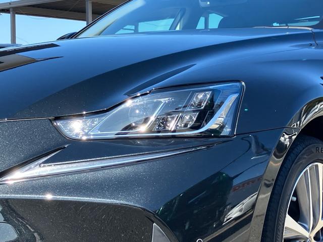 �[�Ԏ����ł����A���ނ̂����ɍ��E����܂����A�Q�T�Ԃ���P�����͌��Ă����Ă��������B���}���̕��͎��O�ɂ����k���������B���߂܂��B