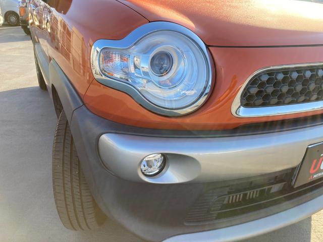 ��ł����邭�Č��₷���w�b�g���C�g�ł��I