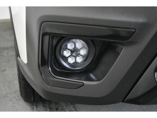 �t�����g�t�H�O�����v�i�O�������j�́A���V�󎞁i���A���J�A�~��Ȃǁj�̎��E�m�ۂ�ړI�Ƃ����⏕���ł��B