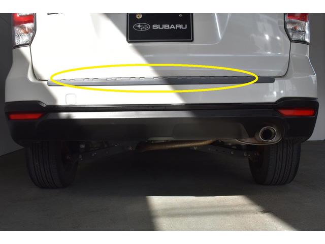 �����Q�[�g�v���e�N�^�[���F�����Ă��܂�