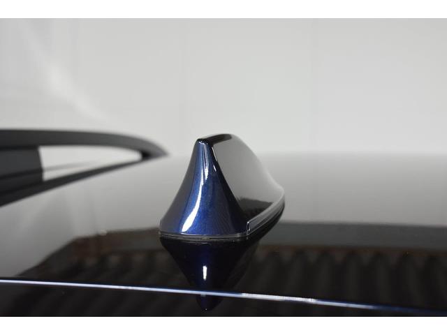 ＸＶ ２．０ｅ－Ｌ　ＥｙｅＳｉｇｈｔ（16枚目）