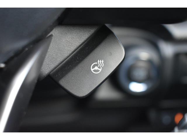 クロストレック ツーリング　元レンタ（49枚目）