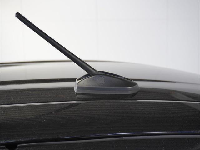 ���[�t���W�I�A���e�i