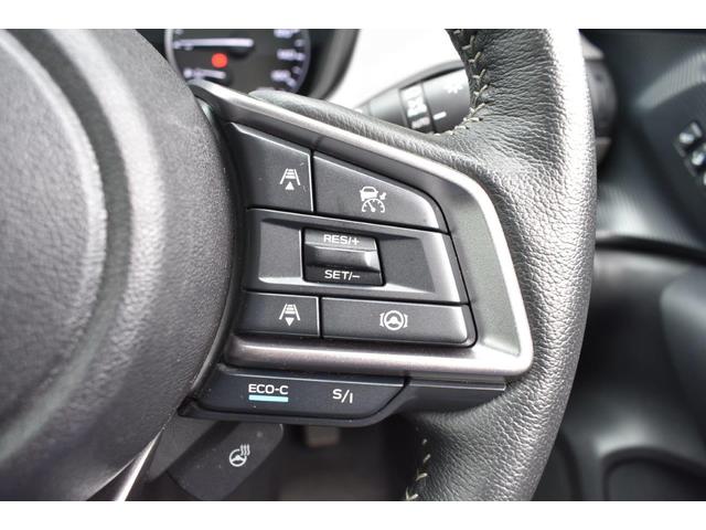 クロストレック ツーリング　元レンタ（48枚目）