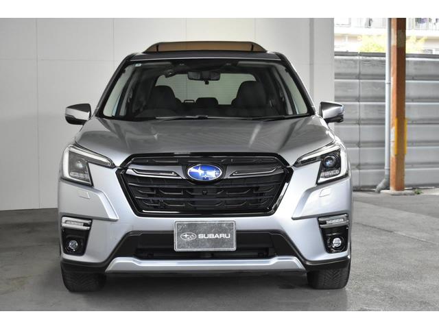 �t�H���X�^�[�@�A�h�o���X