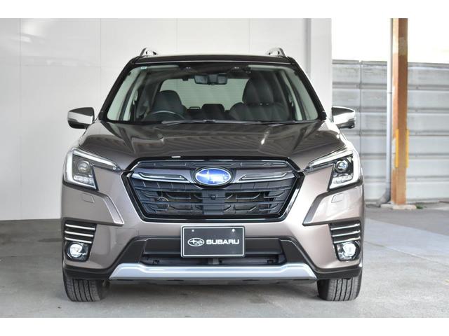 �t�H���X�^�[�@�A�h�o���X