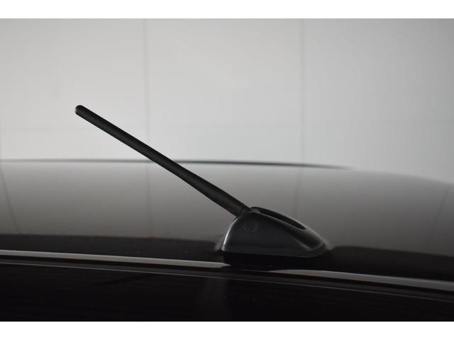 ���[�t���W�I�A���e�i