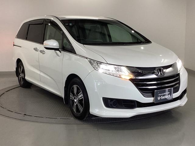 ���S�A���`�����l���������V���[�v�ȊO�ςł��B���i�̃A�V�ɂ������Ă����̈��ł��B�����̂悤�ɁA��Ԃ��ǂ��A�J���[�����O���I�X�X���ł���I�I