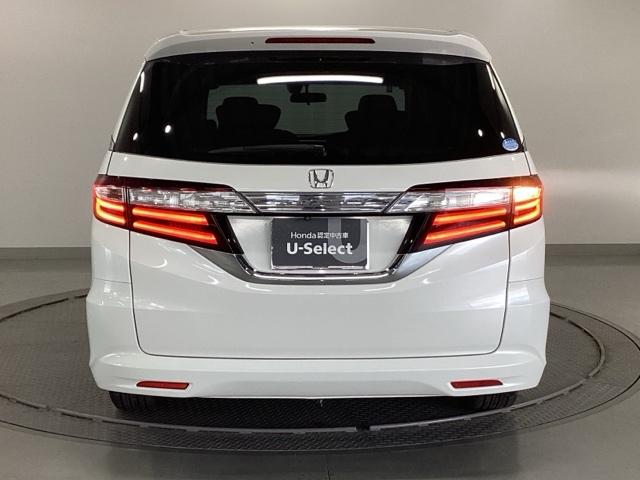 �����̂悤���Y��ɃN���[�j���O����Ă���A�ƂĂ��L���C�ȃ{�f�B�ł���B�O���͂������������Y��ł��B