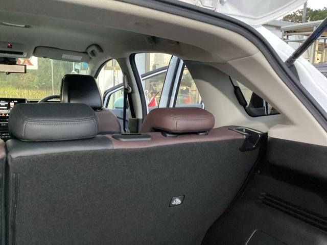 オーラ Ｇ　純正メモリーナビ　全周囲カメラ　ＥＴＣ　前席シートヒーター　フロントカメラ　ＵＳＢ　自動（被害軽減）ブレーキ　クルコン　ＬＥＤ　横滑り防止　サイドカメラ　カーテンエアバッグ　イモビライザー　ナビＴＶ（65枚目）