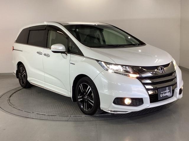 ���S�A���`�����l���������V���[�v�ȊO�ςł��B���i�̃A�V�ɂ������Ă����̈��ł��B�����̂悤�ɁA��Ԃ��ǂ��A�J���[�����O���I�X�X���ł���I�I