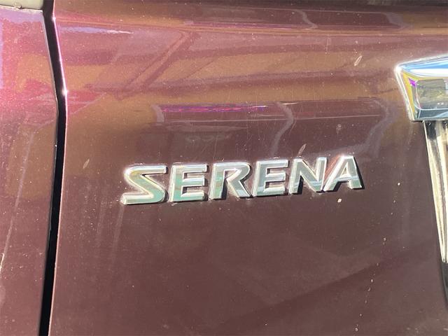 セレナ 福祉車輌 助手席スライドアップシート ドライブレコーダー ETC バックカメラ ナビ TV 両側電動スライドドア スマートキー 後席モニター 3列シート ウォークスルー CVT アルミホイール CD(23枚目)