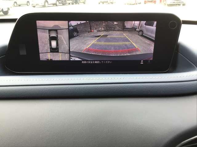 �R�U�O°�r���[���j�^�[�ƃo�b�N�J�������ڂł�����ގ��̕s��������ɂĉ����ł��ˁ�