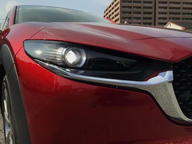 ��Ԃ̎��F�������߃h���C�o�[�̊댯�F�m���T�|�[�g����k�d�c�w�b�h���C�g��