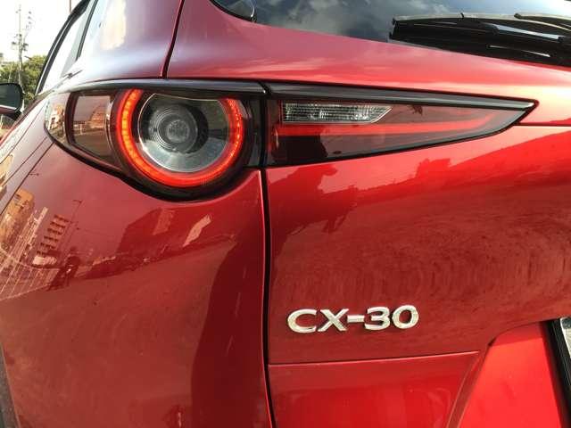 ��Ԃ̎��F�������߃h���C�o�[�̊댯�F�m���T�|�[�g����k�d�c�w�b�h���C�g��