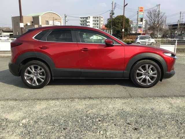 �N���}�����苎��܂ŁA�l�̖ڂɉf�肱�ނ��́B����l�𖣗��������B�B�B���������z���Ń}�c�_�f�U�C���͑���o����Ă��܂���