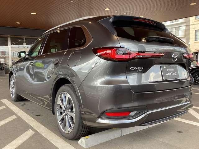 ���A�e�[�������v�ׂ͍��X�|�[�e�B��������܂��B�o���p�[�̃��A�Q�[�g�̃f�U�C���ɂ�������Ĉ�̊�������܂��B�g�m�J�o�[�����ŁA�����������������Ȃ����ɂ��v���C�o�V�[������܂��B