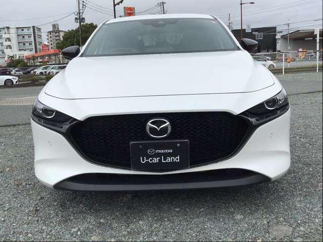 �}�c�_�����f�U�C�����̗p�B�t�����g�t�F�C�X���Ƀ��b�L�́u�V�O�l�`���[�E�C���O�v������A��������\�����Ă��܂��B