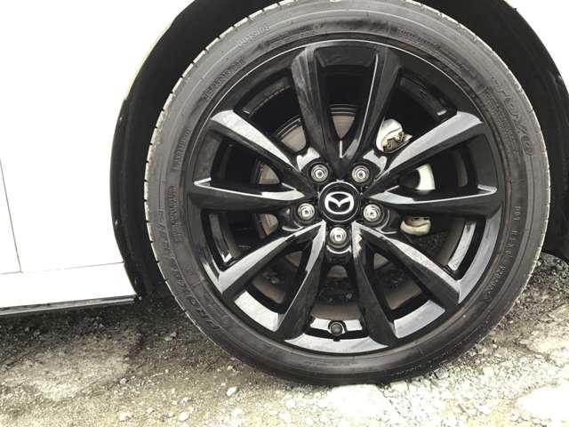 �A���~�z�C�[������������肪�������܂��Č����ăJ�b�R�����ł��ˁ�