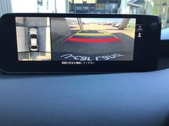 ͣڣģեȥХå ӥץƥ̥֡˥ʥӡɥ쥳ţԣáХå 0801778A20251013Z002 3