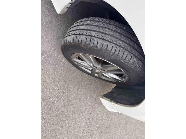 ���Ԃ̒m�����Ȃ��Ă����v�ł��I�F�l�̂����X���X�^�b�t�ꓯ�A�S��肨�҂����Ă���܂��B