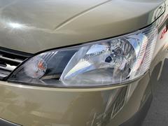 ǯΤ֤餷إåɥ饤Ȥޤ⸫ޤ衪ˤΩä礭ʱߤʤɹʾ֤ݤ줿ǤΥåץŹ֤ᥤ˺߸ˤƤޤΤǲʤˤ⼫ޤ 3