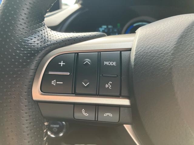 ＲＸ ＲＸ４５０ｈ　Ｆスポーツ　純正ナビ　フルセグテレビ　ヘッドアップディスプレイ　パドルシフト　バックカメラ　ＥＴＣ　衝突被害軽減システム　サンルーフ　シートヒーター（45枚目）