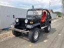 MITSUBISHI JEEP