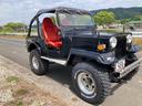 MITSUBISHI JEEP