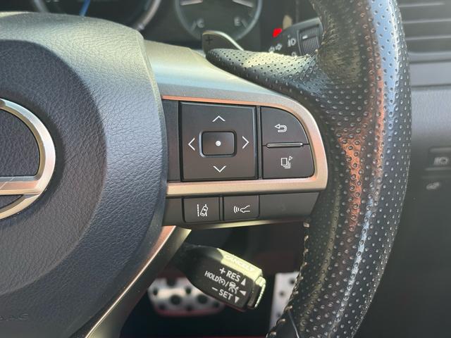 ＲＸ ＲＸ２００ｔ　Ｆスポーツ　黒革エアシート・パノラミックビュー・３眼ＬＥＤヘッド・純正ナビ・フルセグ・ＢＴオーディオ・純正２０ＡＷ・パワーバックドア・リアシートヒーター・セーフティＳ・パドルシフト・ＨＵＤ・オートＨＩビーム（49枚目）