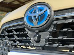 ������ �ϥ��֥�åɣǡ�������������������������ʥ�˥����������̥�˥������ԣӣ� 0801879A30251210W001 5