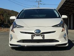 �ץꥦ�� �ӥġ���󥰥��쥯����󡡿��ʣ������������ߡ������䡡�ե륨���������ץ����ȡ��ԣ֥ʥ� 0801879A30260108W001 3