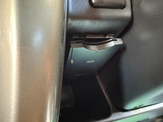 �d�s�b�t���Ă܂��B�@�������n�j�I