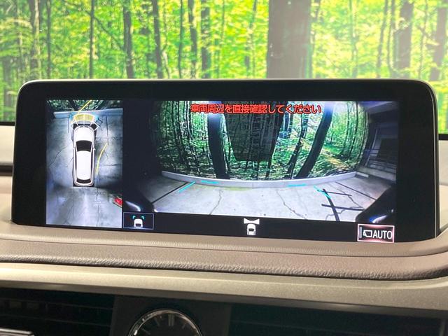 RX RX300 バージョンL 禁煙車 サンルーフ 純正ナビ 全周囲カメラ 衝突被害軽減システム レーダークルーズ レザーシート 全席シートヒーター 前席シートエアコン ドラレコ ETC コーナーセンサー スマートキー LEDヘッド(31枚目)