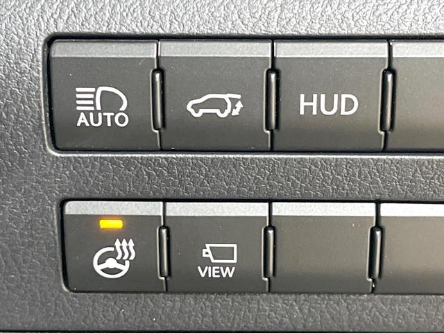 RX RX300 バージョンL 禁煙車 サンルーフ 純正ナビ 全周囲カメラ 衝突被害軽減システム レーダークルーズ レザーシート 全席シートヒーター 前席シートエアコン ドラレコ ETC コーナーセンサー スマートキー LEDヘッド(35枚目)