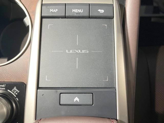 RX RX300 バージョンL 禁煙車 サンルーフ 純正ナビ 全周囲カメラ 衝突被害軽減システム レーダークルーズ レザーシート 全席シートヒーター 前席シートエアコン ドラレコ ETC コーナーセンサー スマートキー LEDヘッド(39枚目)