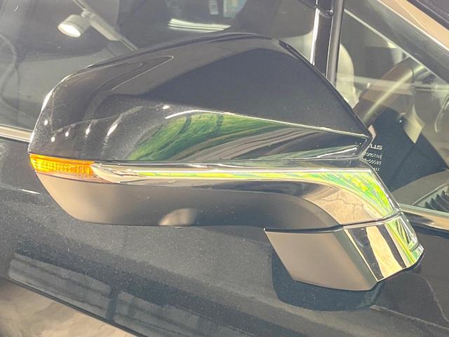 RX RX300 バージョンL 禁煙車 サンルーフ 純正ナビ 全周囲カメラ 衝突被害軽減システム レーダークルーズ レザーシート 全席シートヒーター 前席シートエアコン ドラレコ ETC コーナーセンサー スマートキー LEDヘッド(69枚目)