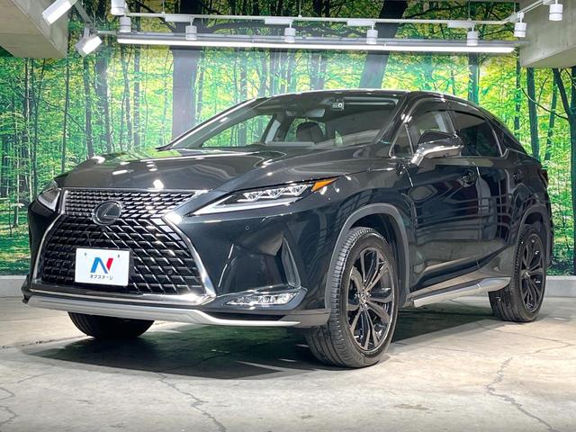 RX RX300 バージョンL 禁煙車 サンルーフ 純正ナビ 全周囲カメラ 衝突被害軽減システム レーダークルーズ レザーシート 全席シートヒーター 前席シートエアコン ドラレコ ETC コーナーセンサー スマートキー LEDヘッド(70枚目)