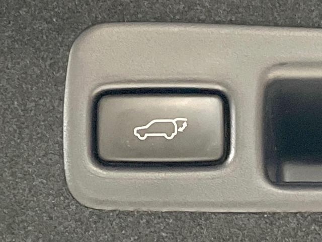 ハリアー プレミアム　アドバンスドパッケージ　サンルーフ　純正ＳＤナビ　全周囲カメラ　衝突被害軽減システム　禁煙車　電動リアゲート　ハーフレザーシート　ドラレコ　コーナーセンサー　スマートキー　ＬＥＤヘッド　ビルトインＥＴＣ　クルコン（48枚目）