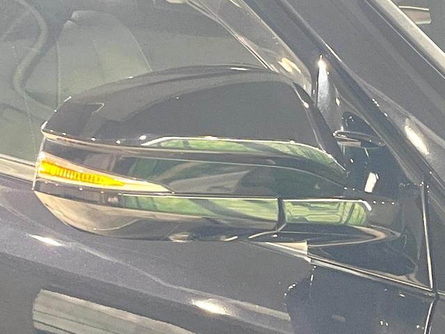 ハリアー プレミアム　アドバンスドパッケージ　サンルーフ　純正ＳＤナビ　全周囲カメラ　衝突被害軽減システム　禁煙車　電動リアゲート　ハーフレザーシート　ドラレコ　コーナーセンサー　スマートキー　ＬＥＤヘッド　ビルトインＥＴＣ　クルコン（49枚目）